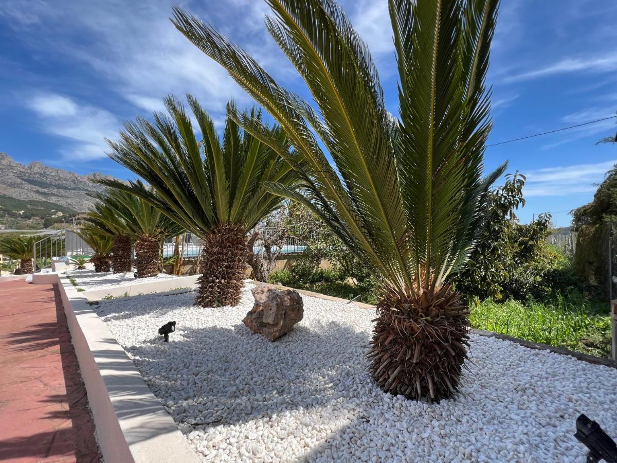 Casa Rural Altaret Callosa de Ensarriá Extérieur photo